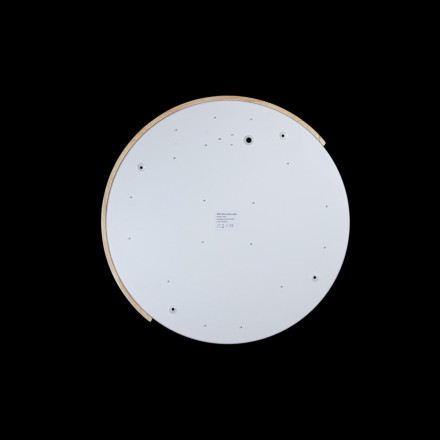 Потолочный светодиодный светильник Axel Loft It 10004/36 White