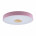 Потолочный светодиодный светильник Axel Loft It 10003/24 Pink