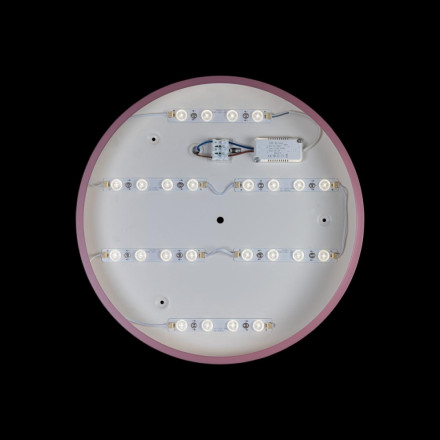 Потолочный светодиодный светильник Axel Loft It 10003/24 Pink