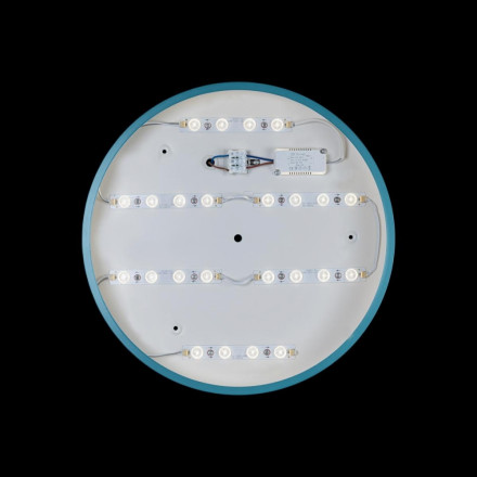 Потолочный светодиодный светильник Axel Loft It 10003/24 Blue