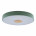 Потолочный светодиодный светильник Axel Loft It 10003/24 Green