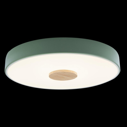 Потолочный светодиодный светильник Axel Loft It 10003/24 Green