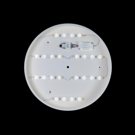 Потолочный светодиодный светильник Axel Loft It 10002/24 White
