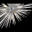 Светильник подвесной ST-Luce Callio SL1097.103.09