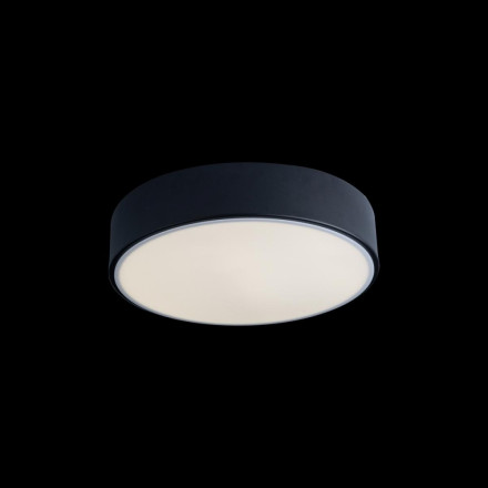 Потолочный светодиодный светильник Axel Loft It 10002/12 Black