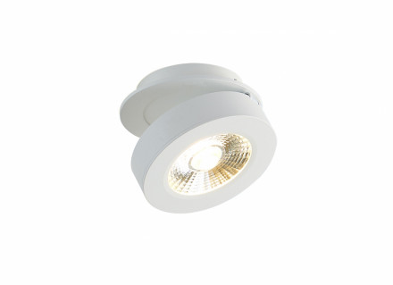 Встраиваемый поворотный светодиодный светильник (блок питания в комплекте) Donolux Sun DL18961R12W1W