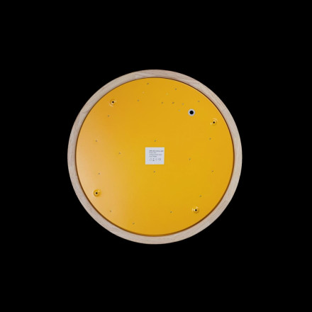 Потолочный светодиодный светильник Axel Loft It 10001/36 Yellow