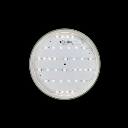 Потолочный светодиодный светильник Axel Loft It 10001/36 Green