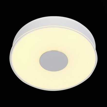 Потолочный светодиодный светильник ST Luce Semplicita SL473.052.01D