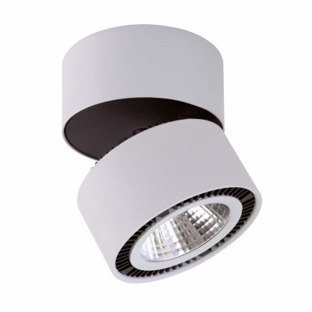 Потолочный светодиодный светильник Lightstar Forte Muro 214839