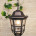 Уличный подвесной светильник Elektrostandard Dorado Dorado H кофейное золото (GL 1013H) кофейное золото 4690389135965