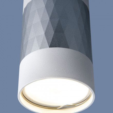 Потолочный накладной светильник Elektrostandard DLN110 GU10 белый/серебро (a047744)