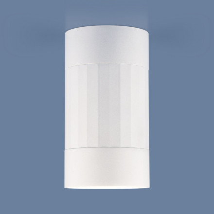 Потолочный накладной светильник Elektrostandard DLN111 GU10 белый (a047754)