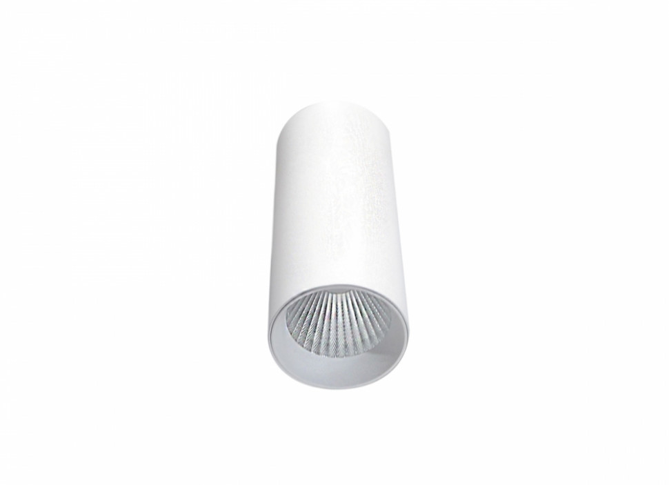Накладной светодиодный светильник (блок питания в комплекте) Donolux Rollo DL18895R30N1W