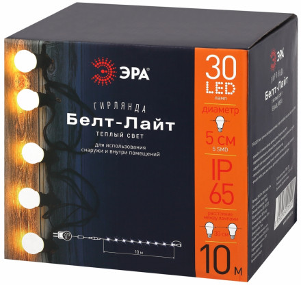 Гирлянда LED Белт-лайт (10м.) теплый цвет Эра ERABL-WS10 (Б0047954)