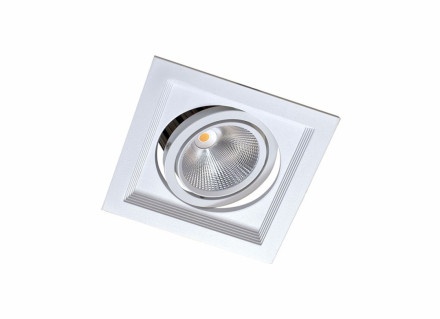 Встраиваемый светодиодный светильник (блок питания в комплекте) Donolux Atom DL18893/01 White SQ