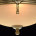 Потолочный светильник MW-Light Афродита 317011403