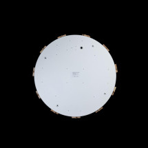 Потолочный светодиодный светильник Axel Loft It 10006/36 White